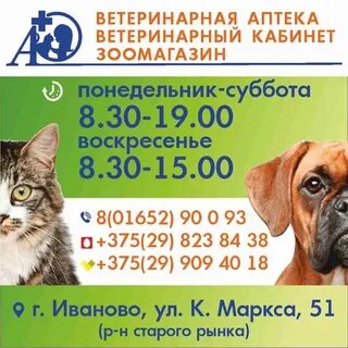 Ветеринарная березовский свердловская область