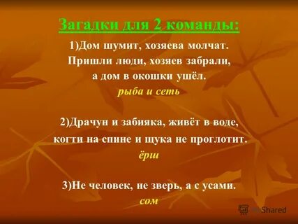 Отгадка человек