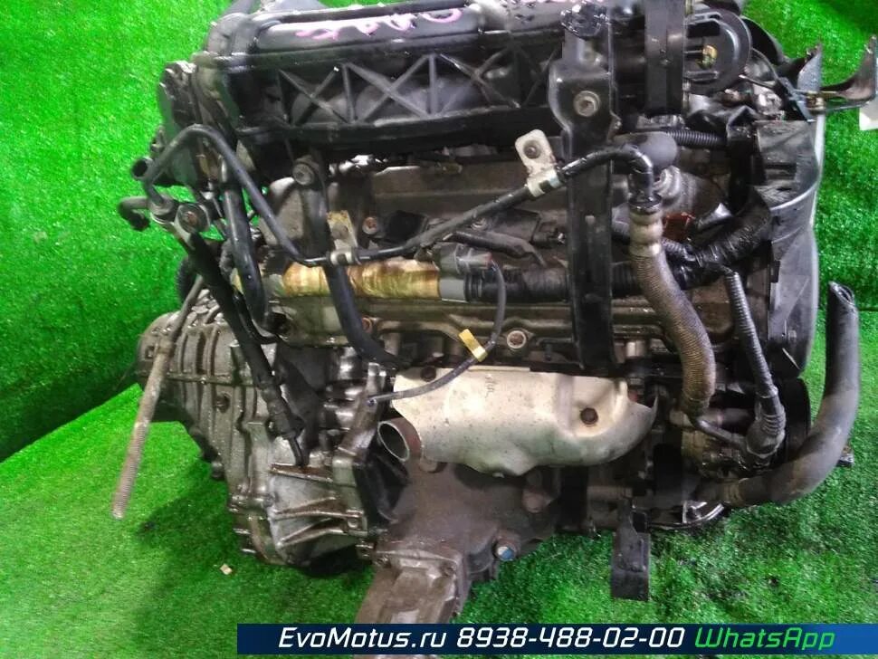 Мотор 1mz fe. 1mz-fe. 1mz fe toyota harrier. двс 1mz. двигатель 1mz-fe.
