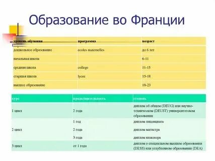 Сколько лет вы учились