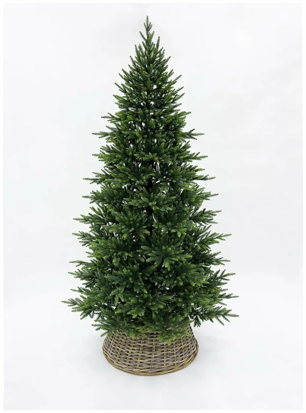 Triumph tree ель шервуд премиум full ре 2. 55. 55. 15. 2.