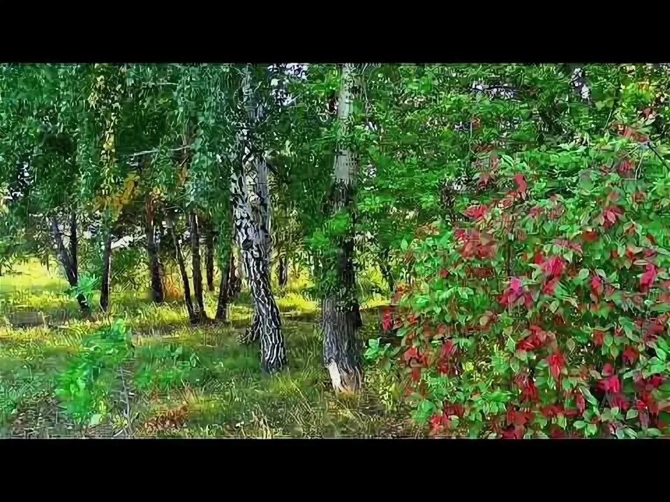 Три сосны песня. Песня в хвойной в старом парке. Gary pine. Песня про сосну. В старом парке пахнет хвойной.