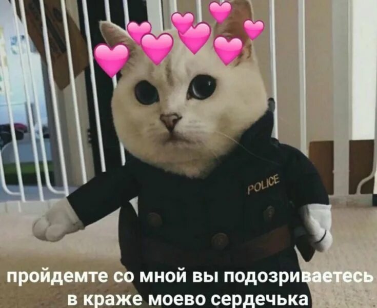 Мемы про антивирус. Мой украл время. Кто украл мои картинки. Украл мои слова. Жулик ворует.