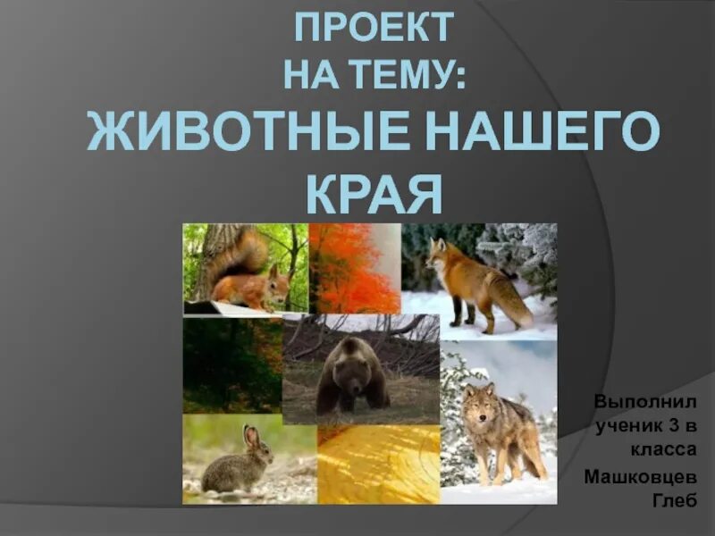 Проект "Разнообразие природы родного края": где найти образец?