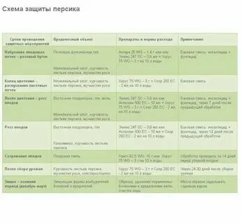 Чем обработать абрикос