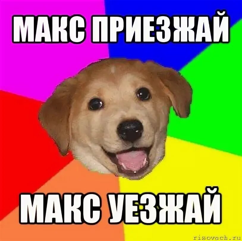 Картинки про макса. Макс Мем. Макс псина. Мемы про Макса и собаку. Макс пес Мем.