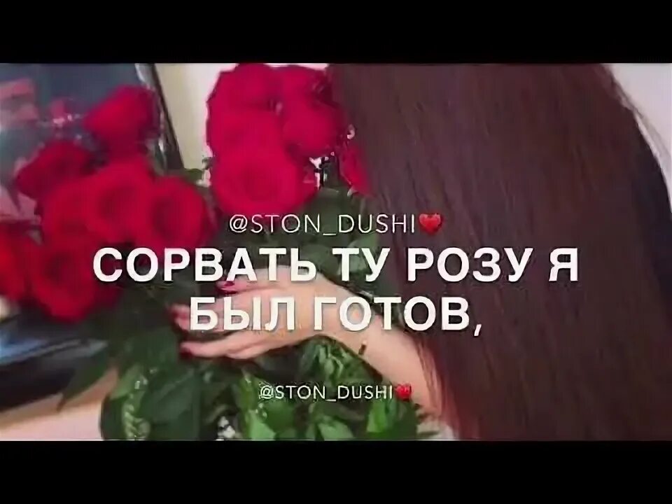 Я встретил розу она текст. Встретил розу она цвела. Сорвал я розу она цвела. Я встретил розу она.