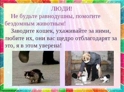 Как вы помогаете животным