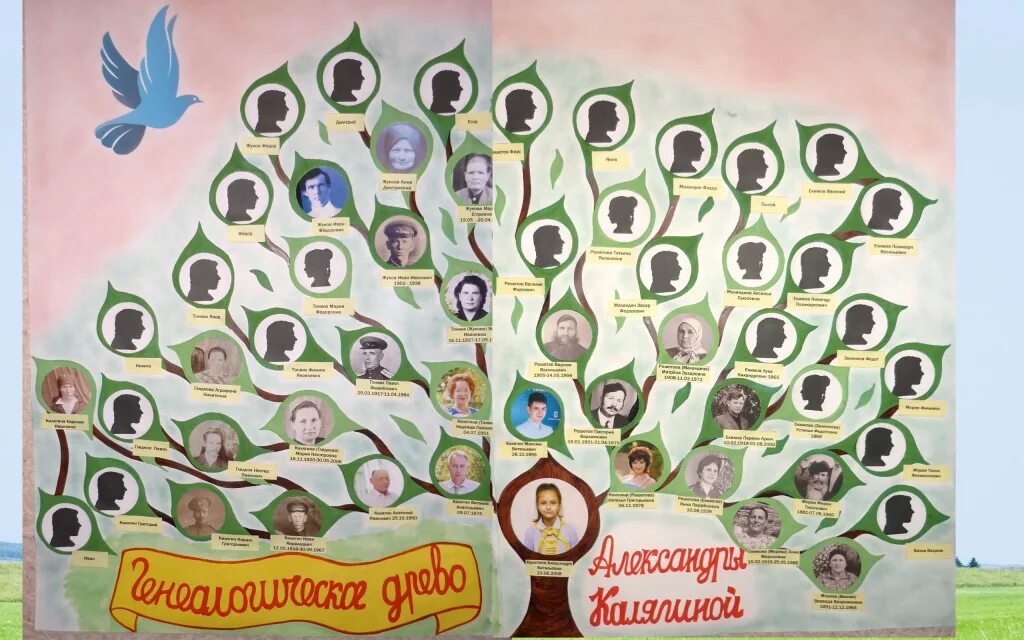 конкурс мое генеалогическое древо. генеалогическое древо моей семьи. конкурс мое генеалогическое древо. генетическое дерево. плакат "моя родословная".