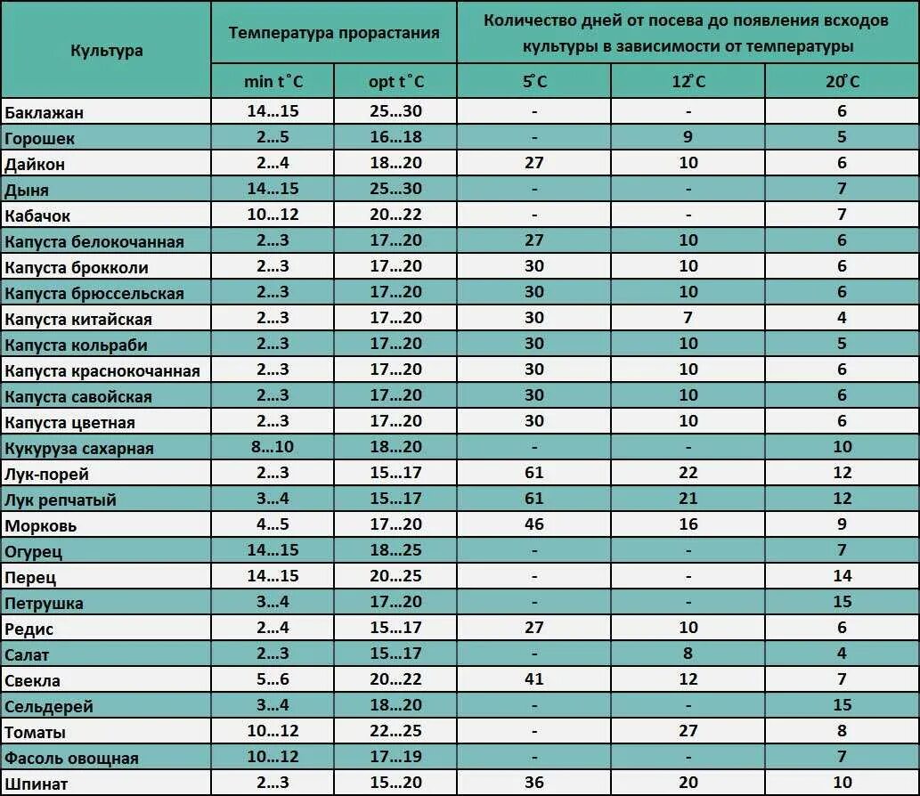 При какой ночной температуре можно высаживать. Таблица всхожести семян овощных культур в днях. Сроки прорастания семян таблица овощей. Сроки всходов семян цветов таблица. Оптимальная температура для прорастания семян.