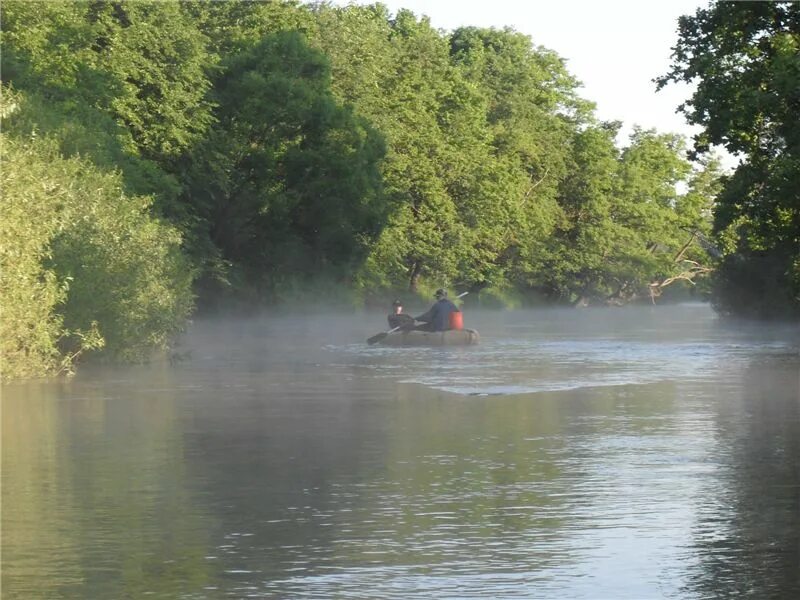 Река болва уровень воды. Река Болва. Река Болва Киров. Сплав по реке Болва Брянск. Река Болва Людиново.