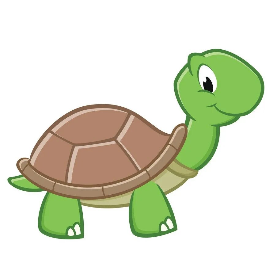 T turtle. Черепашка для детей. Мультяшные черепахи. Векторное изображение черепахи. Мультяшная черепаха на белом фоне.