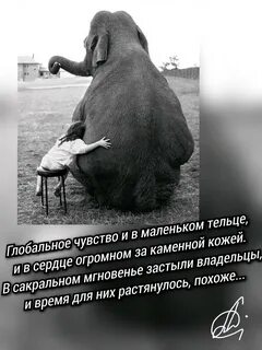 Чувства андрея