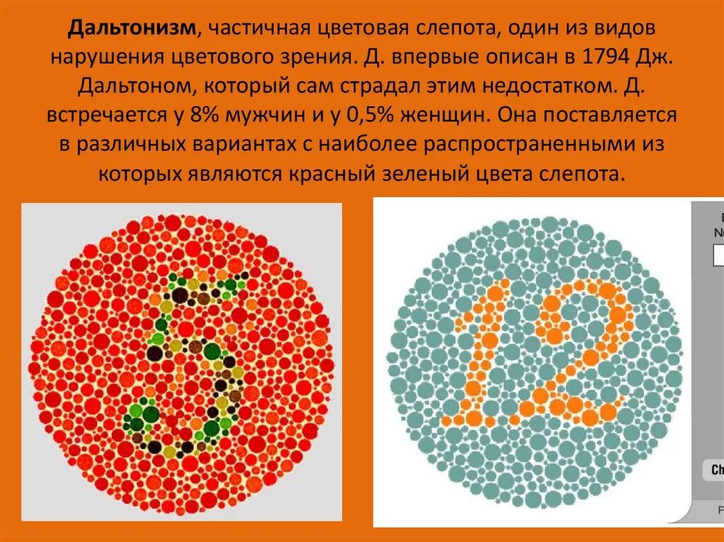 Женщины не страдают дальтонизмом