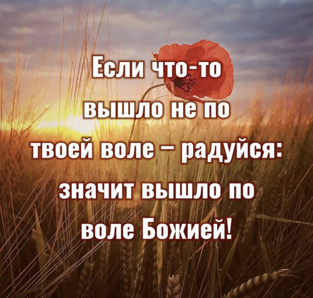 Дал дал выйдет что значит. Христианские высказывания. Христианские афоризмы цитаты. Христианские афоризмы высказывания. Христианские статусы в картинках.