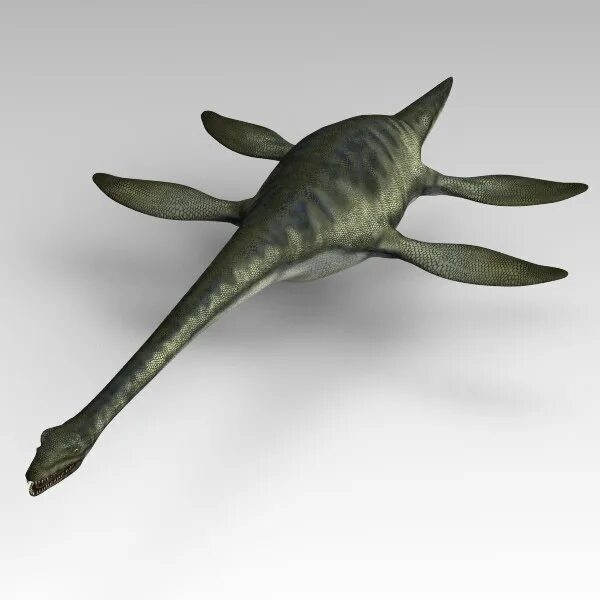 Эласмозавр. Эласмозавр динозавр. Эласмозавр ласт. Elasmosaurus 3d model.