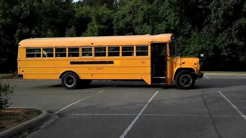 Youtube bus
