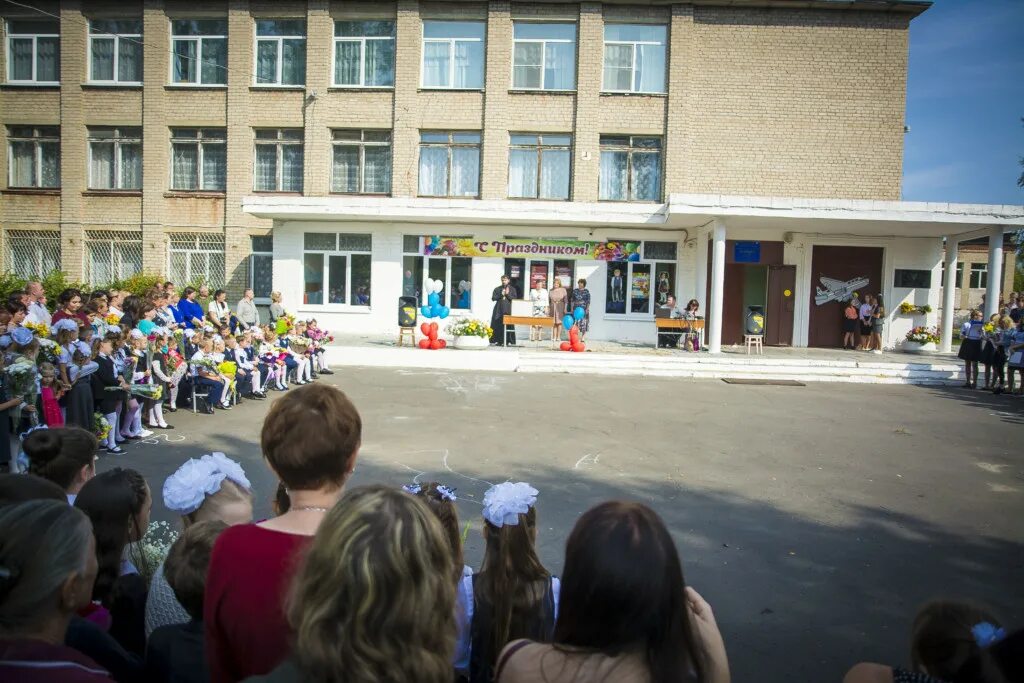 Рошаль мишеронский. Мишеронская школа. Мишеронская школа фото. Школа Бакшеево. Мишеронский школа вид со спутника.