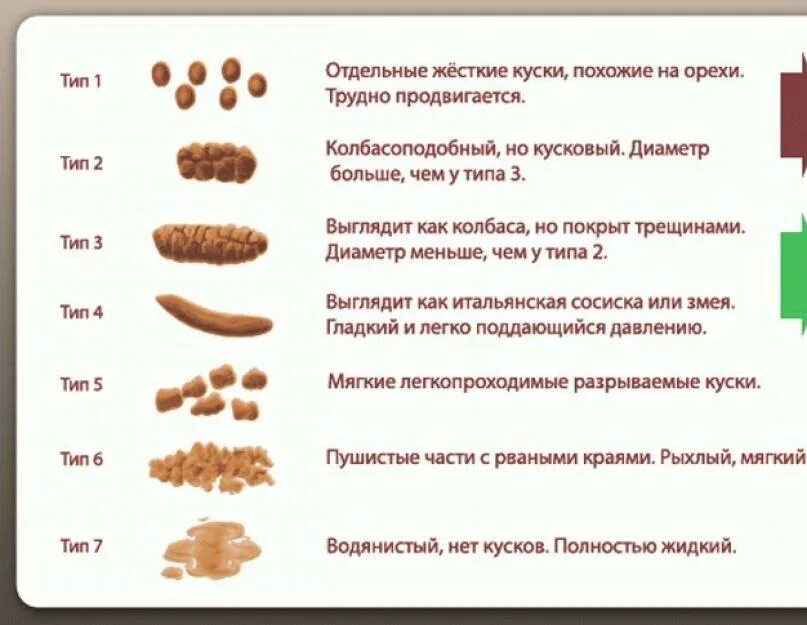 Длительное время жидкий стул причина. Виды кала при запоре у ребенка. кашеобразный стул у взрослого длительное.