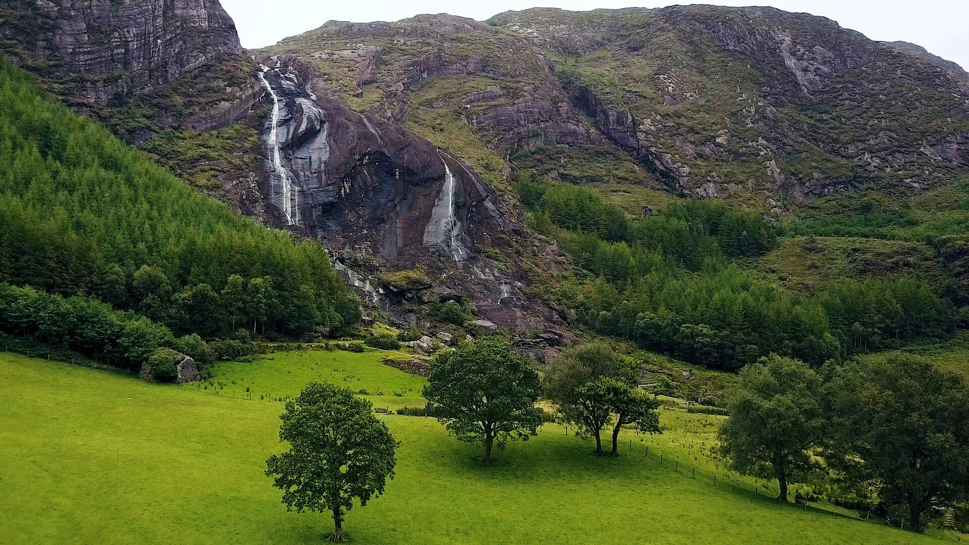 Природные ресурсы острова. Центральная низменность Ирландия. Сперрин горы Ирландия. Глендорский лес Ирландия. Парк Керри Ирландия лес.