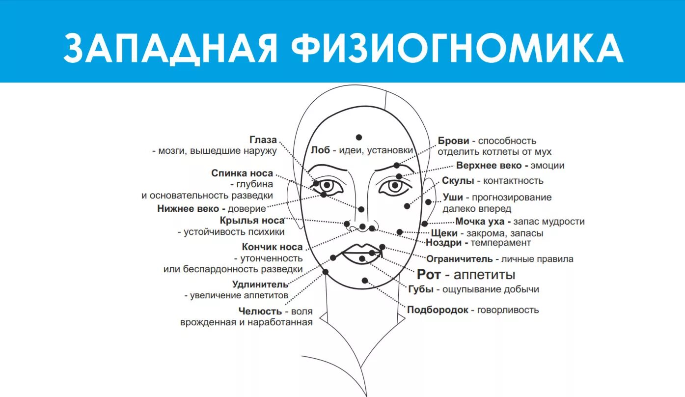 Родимое пятно значение у женщин. Физиогномика. Физиогномика точки на лице. Чтение характера по лицу. Точки эмоций на лице.