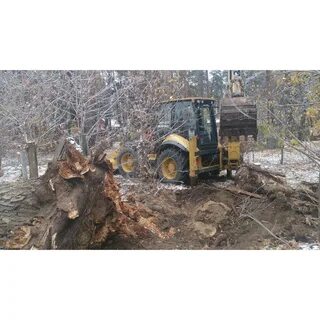 Выкорчивать