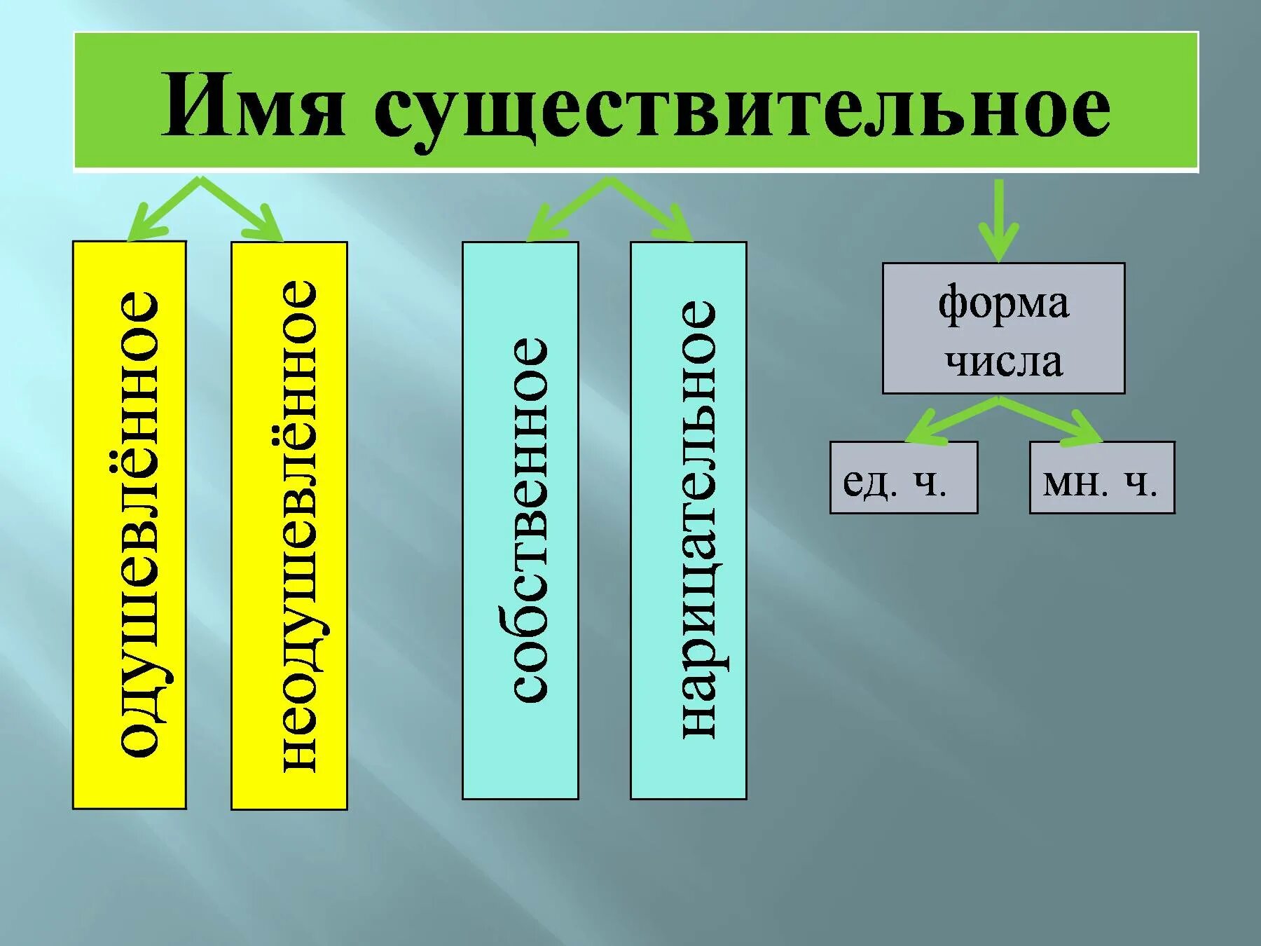 Правило о имени существительном. Имена существительные 4 класс презентация. Имя существительное презентация. Имя сущ 3 класс. Имя существительное в русском языке.
