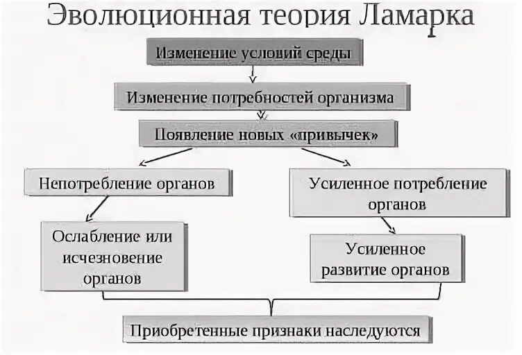 Эволюционная теория тест