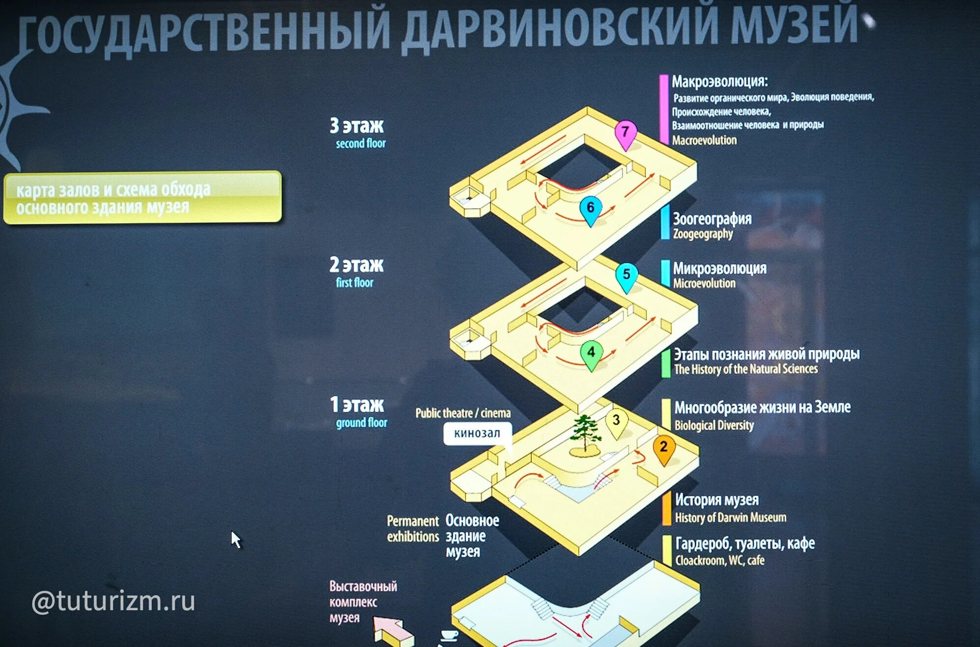 Дарвиновский музей в москве цена билета 2024. План Дарвиновского музея. Дарвиновский музей схема залов. Дарвиновский музей схема музея. Карта Дарвиновского музея.