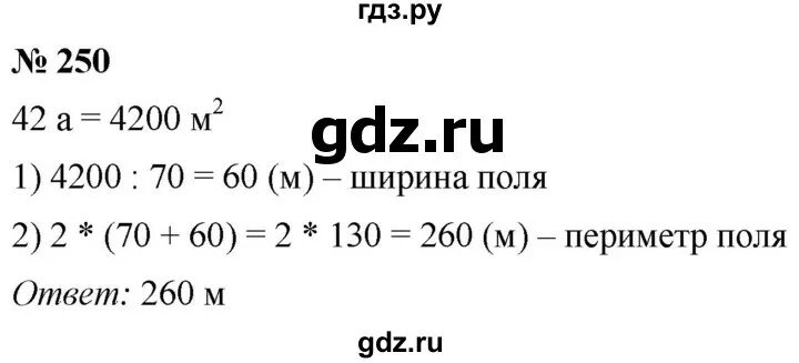 Математика 5 номер 250