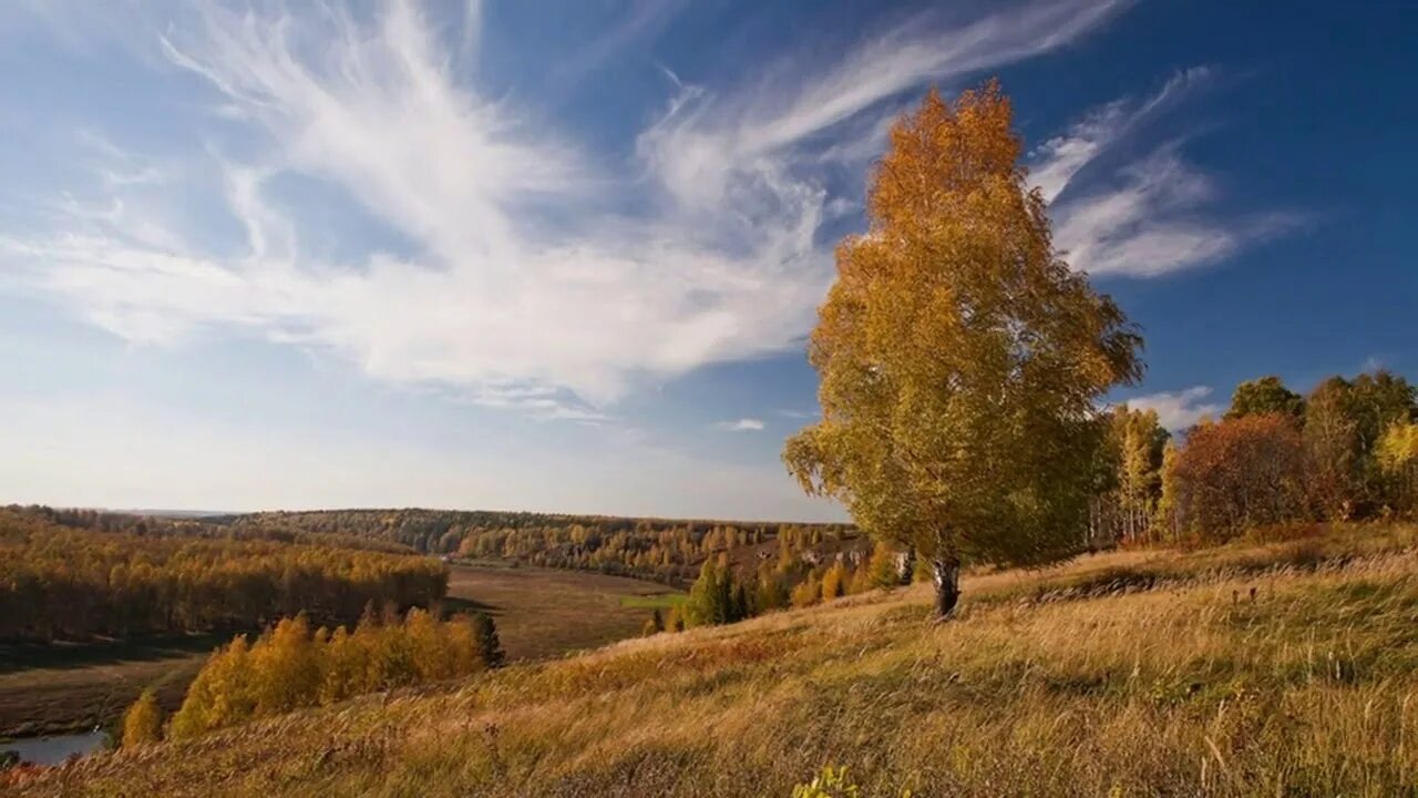 Осень в средней полосе России. Пейзажи среднерусской природы. Осень простор. Среднерусский пейзаж. На дальнем поле звонко