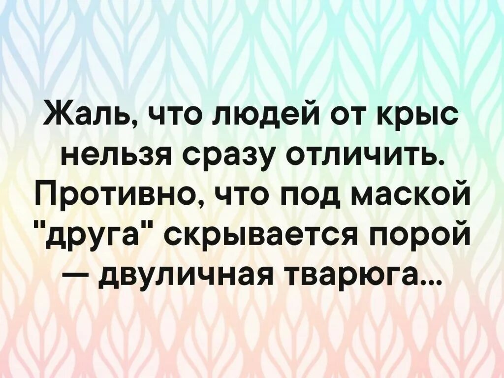 Человек становится противен. Цитаты про крыс. Высказывания про крысятничество. Цитаты про крыс людей. Высказывания о людях крысах.