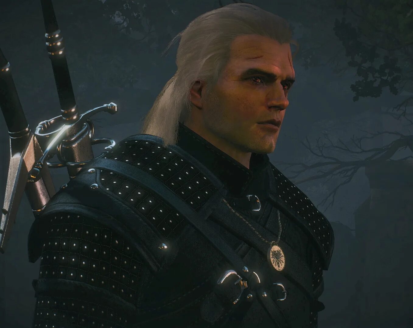Toss to your witcher