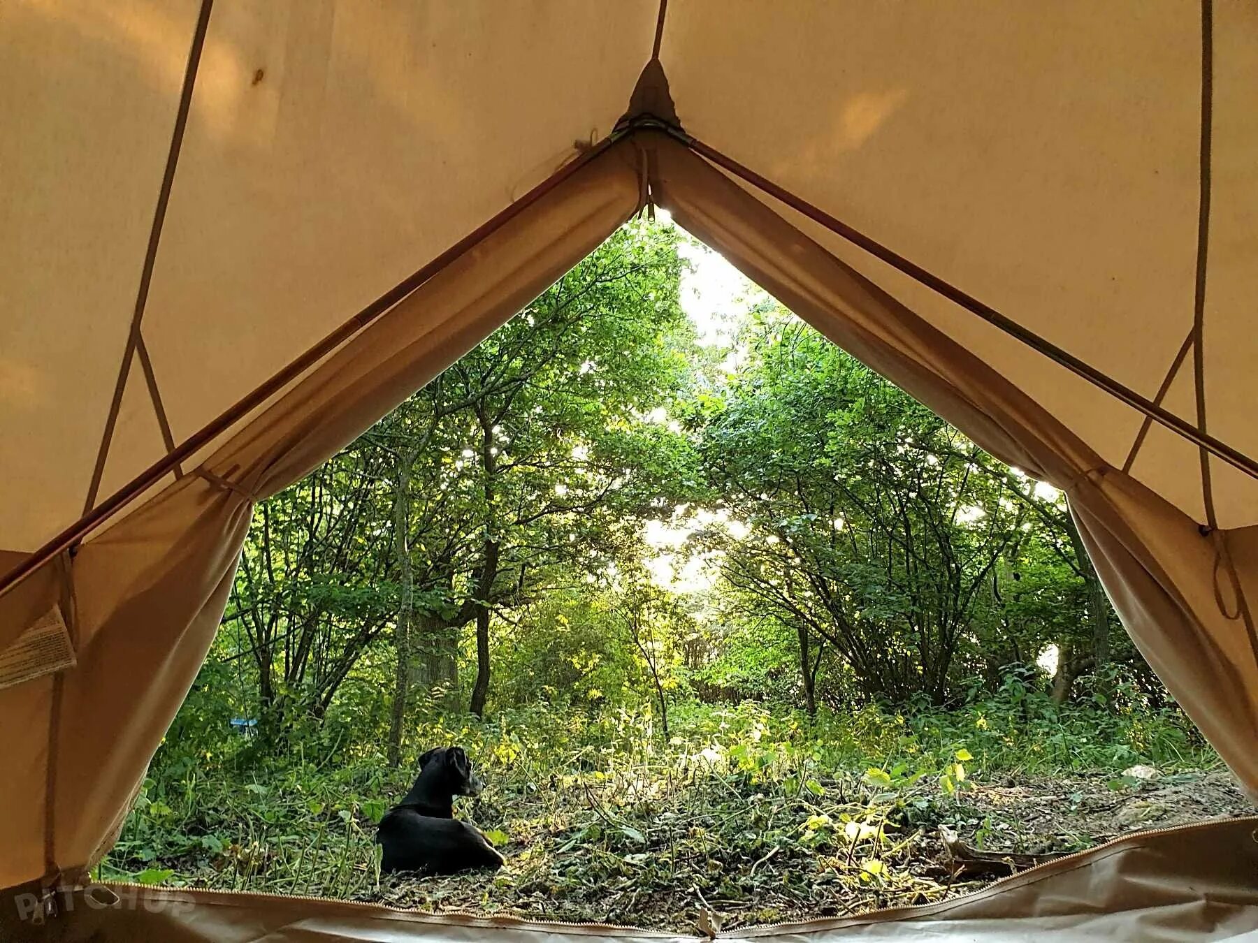 Майтри глэмпинг финский залив. Глэмпинг солнечный. Грин глэмпинг. Глэмпинг иордания. Глэмпинг «майтри кэмп».