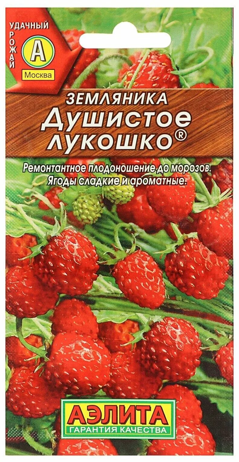альпийская ремонтантная земляника. душистое лукошко. земляника душистое лукошко аэлита. земляника душистое лукошко. земляника ксюша альпийская.