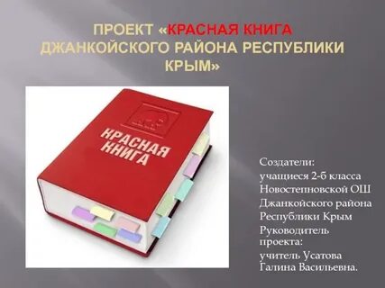 Как сделать красную книгу 3 класс