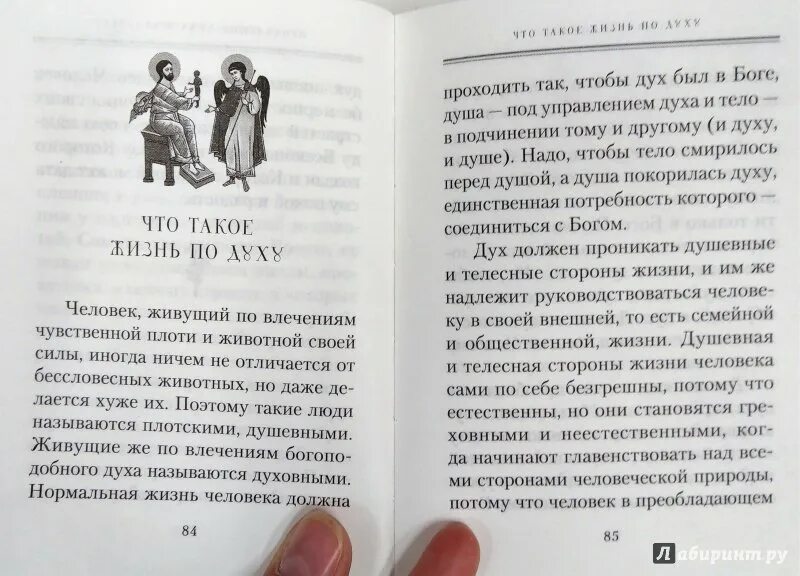 Книга душа бога