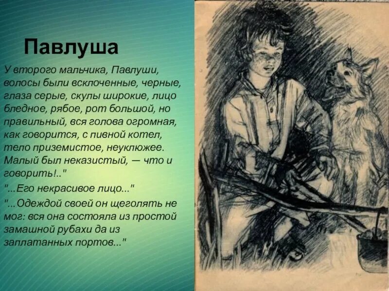 Бежин луг общее впечатление. Тургенев бежин луг павлуша. павлуша бежин луг портрет.