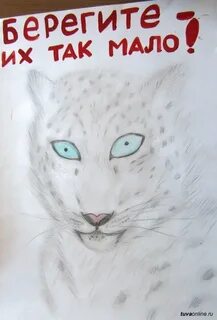 Рисунок берегите животных 3