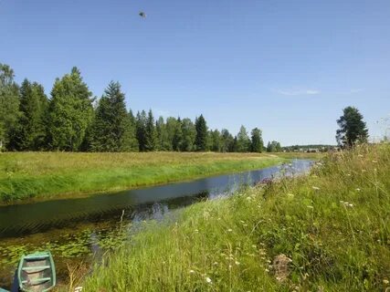 Кизема архангельская устьянский