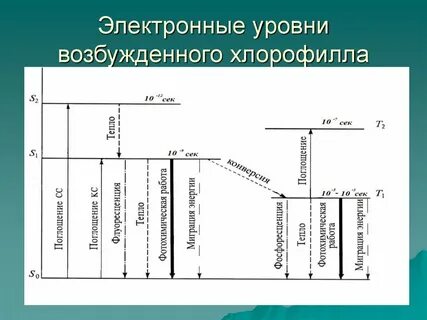 Уровень возбуждения