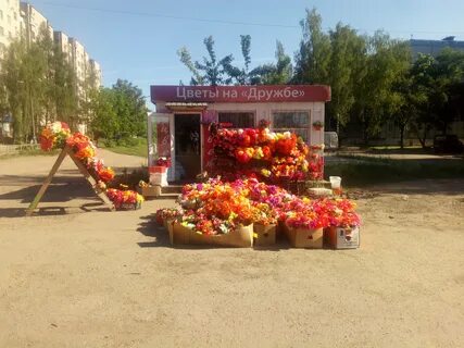 Цветы великие луки