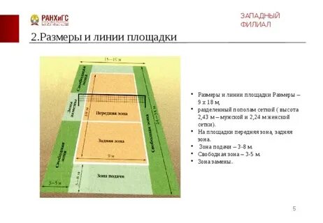 Сколько составляет высота волейбольной сетки для женщин