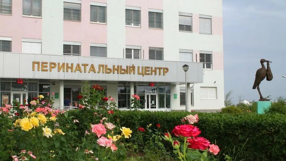 Волгоградский перинатальный центр волгоград. Перинатальный волгоград 2. Перинатальный центр волгоград советский. Перинатальный центр города волгоград. Перинатальный центр 2 волгоград.