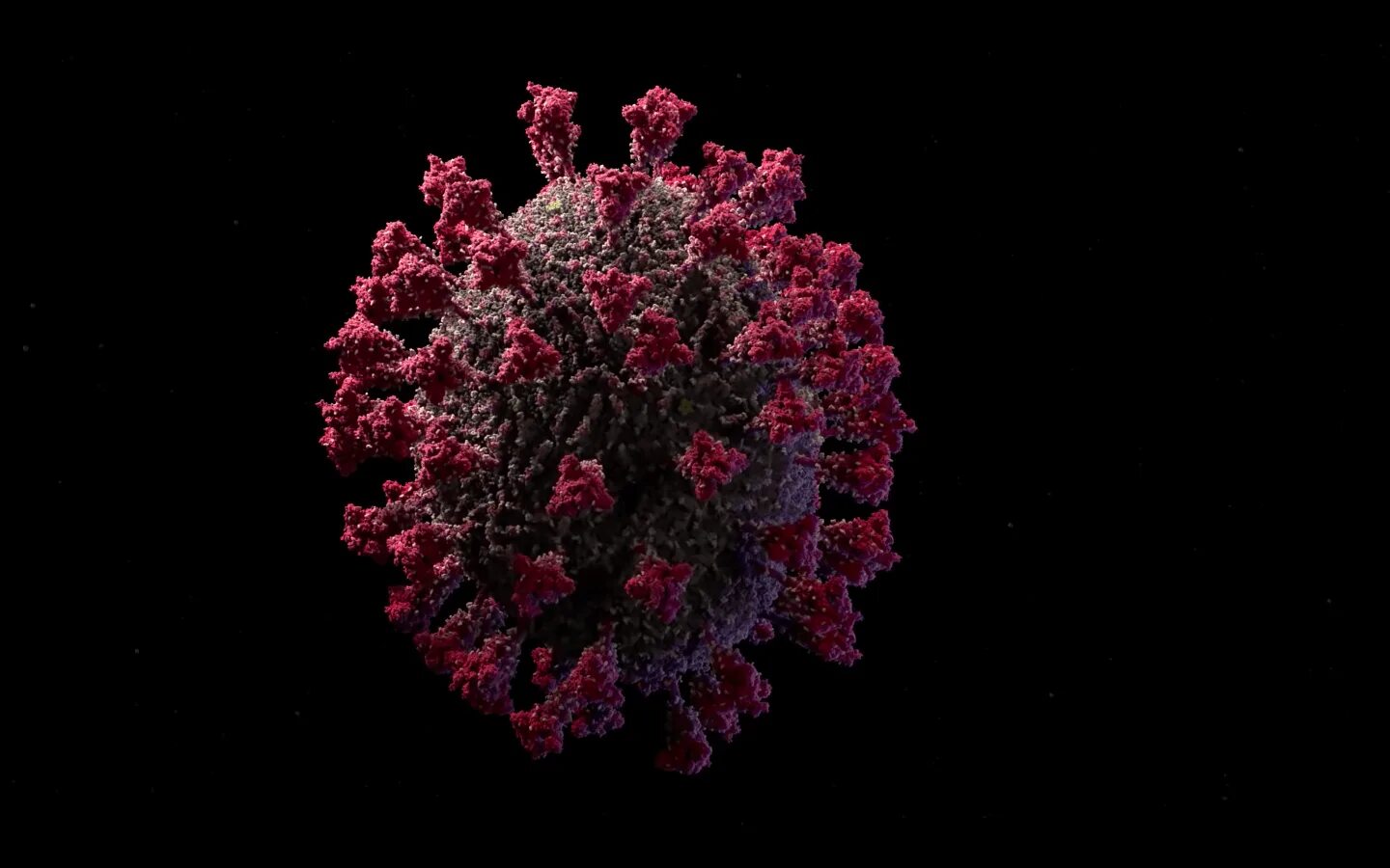 Вирус ковид 19. Coronavirus 3d. Коронавирус модель вируса. Атомарная модель коронавируса SARS-cov-2. Коронавирус человека sars