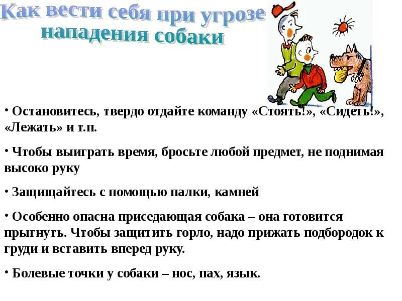 Действия в условиях негативных и опасных факторов бытового характера. Опасные факторы бытового характера и меры по их предупреждению. Негативные факторы бытового характера. Действия при угрозе нападения собаки.