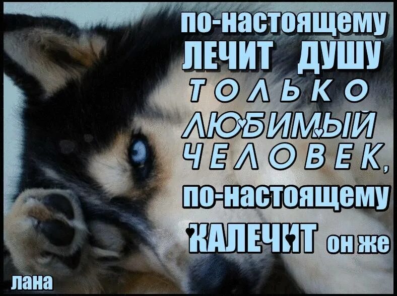 Как вылечить душевную боль. Лечить душу. как вылечить душу от боли. по настоящему лечит душу только близкий. жаль что нет такой таблетки когда болит душа.
