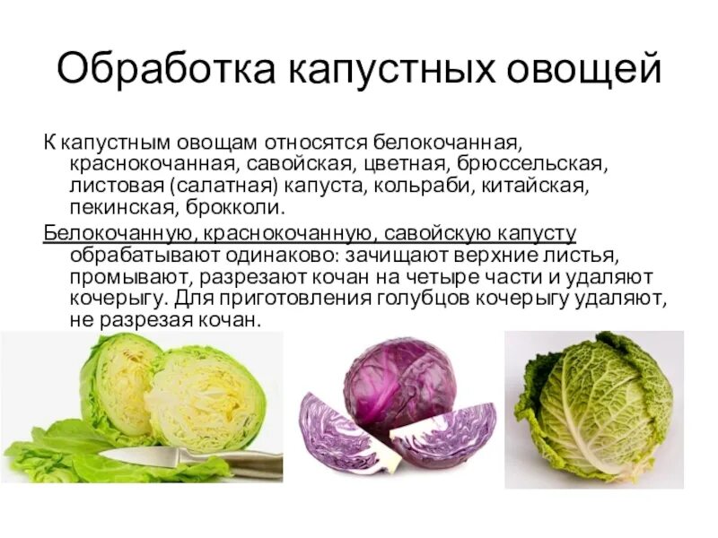 Можно ли белокочанную. Цветная, брюссельская, кольраби, савойская капуста .. Технологическая последовательность обработки белокочанной капусты. Схема обработки капустных овощей. Первичная обработка капустных овощей схема.