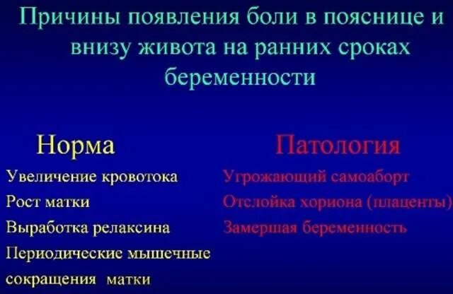 Ноет тянет низ живота. Боль внизу живота на ранних сроках. При беременности болит низ живота на ранних сроках. Болит низ живота на ранних сроках. Боли внизу живота при беременности на ранних сроках.