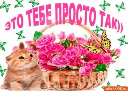 Просто поздравление картинки